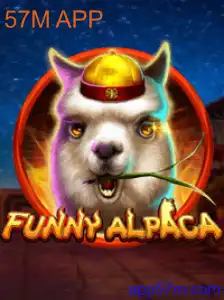 FunnyAlpaca